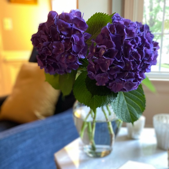 I love to shop and find great deals in Poshmark - Picture 1 of 1